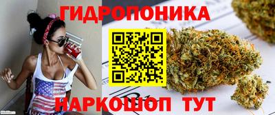 ECSTASY Шебекино