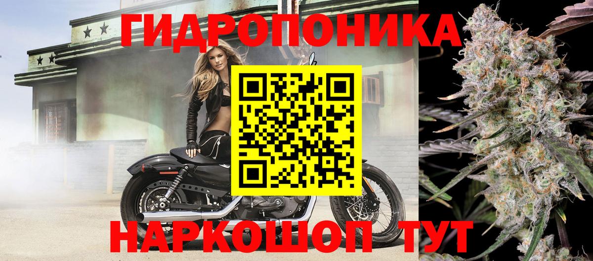 Бошки марихуана планчик Фролово
